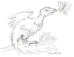 Archaeopteryx